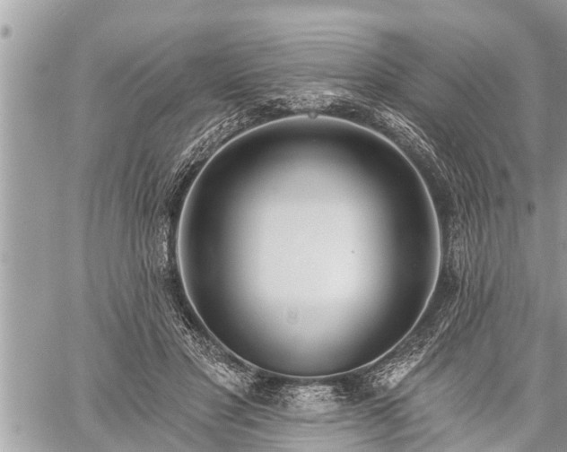 X0000060240501200510311526