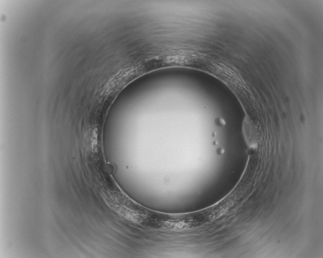 X0000060240502200510311526