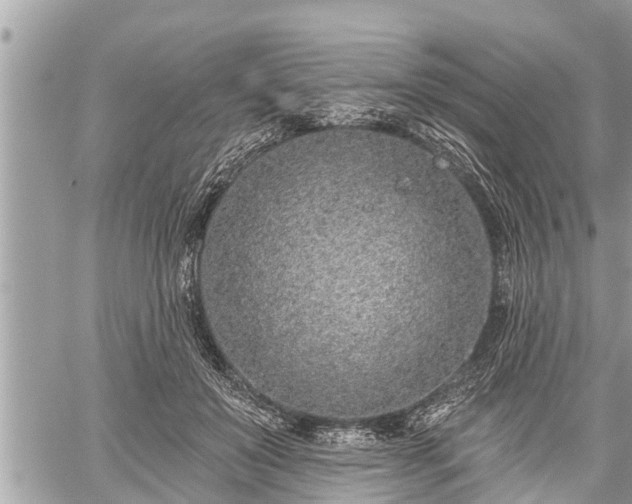 X0000060240503200510311526