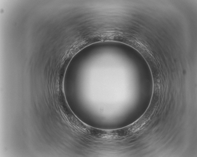 X0000060240504200510311525