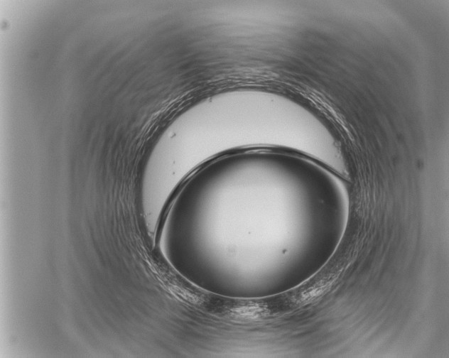 X0000060240505200510311525