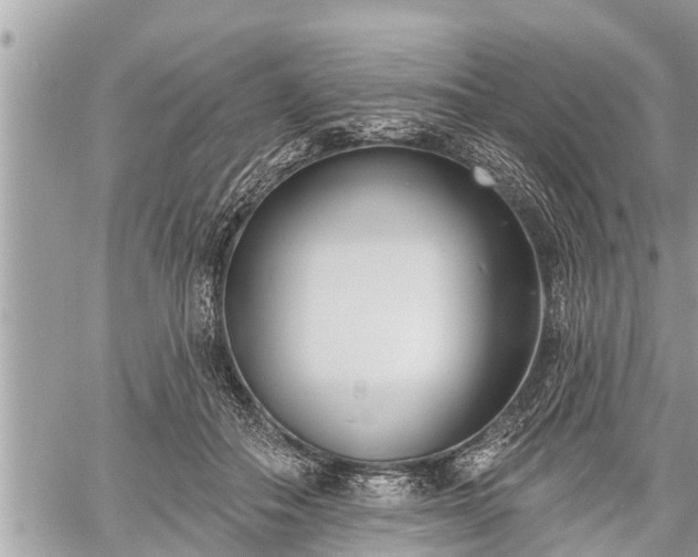 X0000060240506200510311525