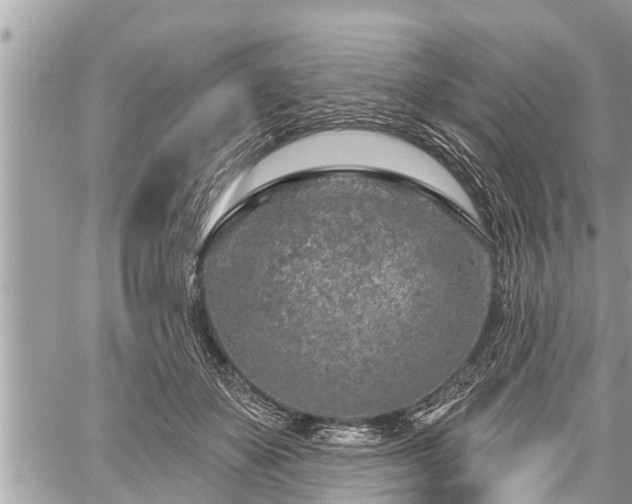 X0000060240507200510311525