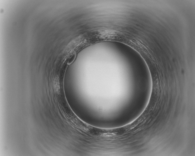 X0000060240508200510311525