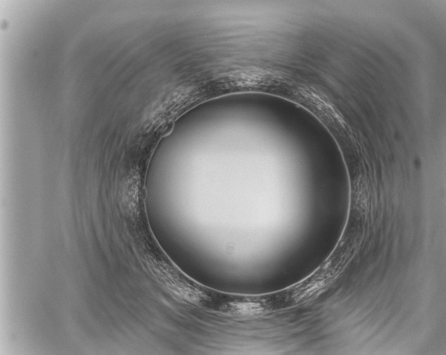 X0000060240509200510311525