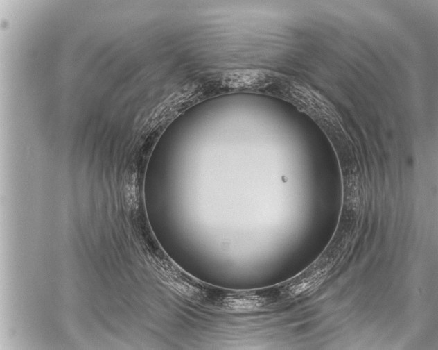 X0000060240510200510311525