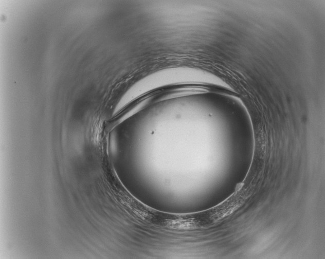 X0000060240511200510311525