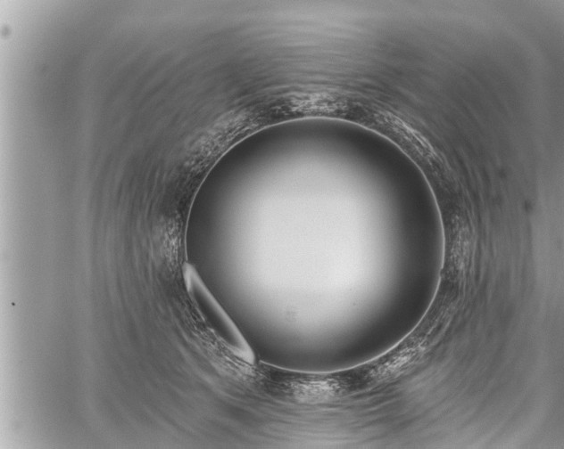 X0000060240513200510311525