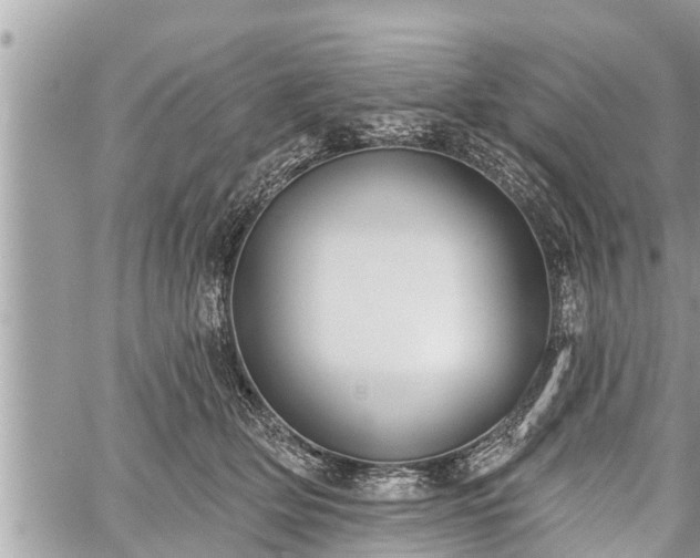 X0000060240514200510311525