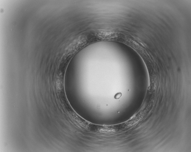 X0000060240515200510311525