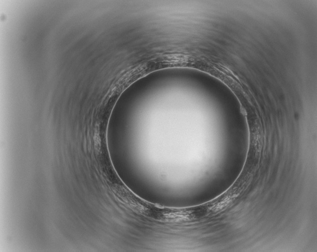 X0000060240516200510311525