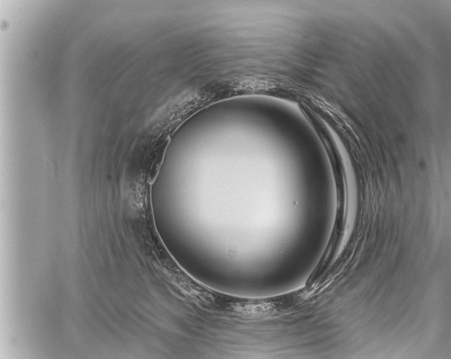 X0000060240517200510311525