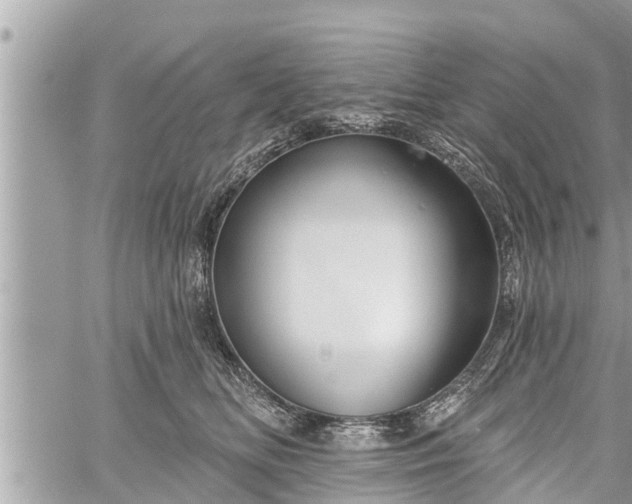 X0000060240518200510311525