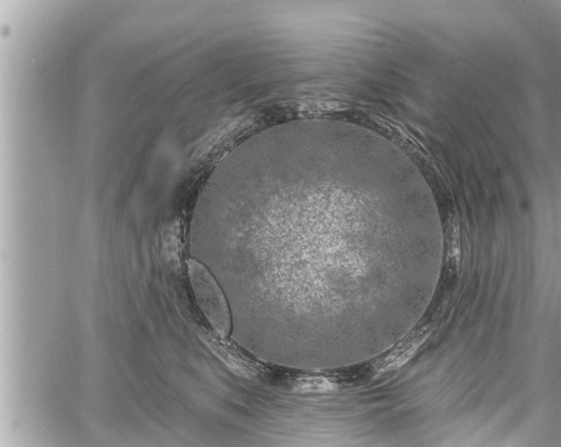 X0000060240519200510311525