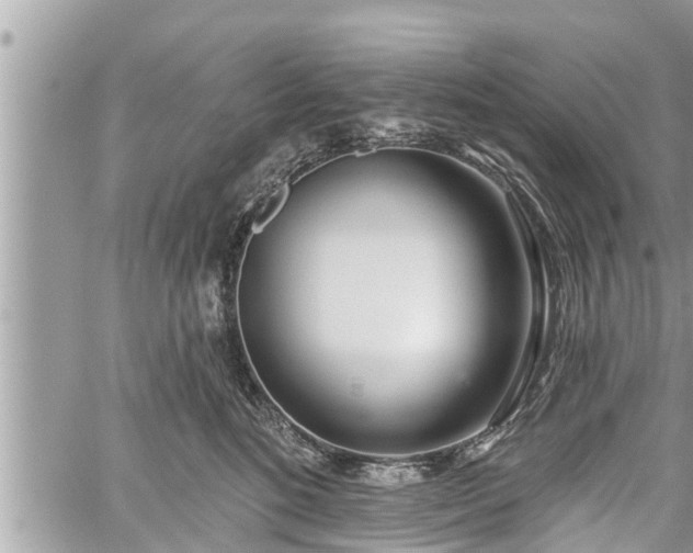 X0000060240520200510311525