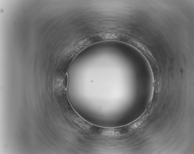 X0000060240521200510311525