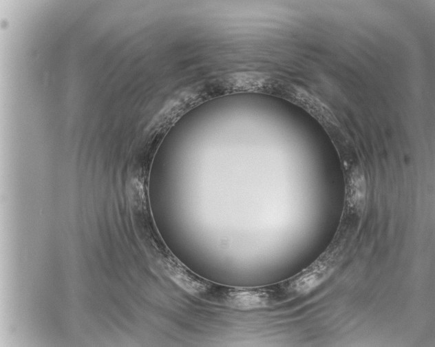 X0000060240522200510311525