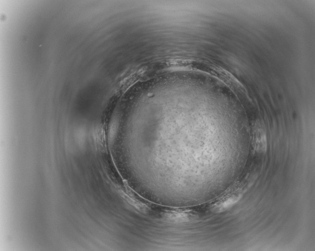 X0000060240523200510311525