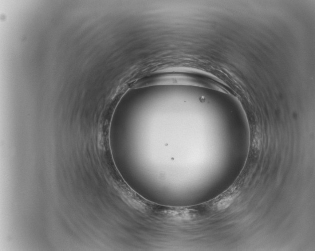 X0000060240524200510311525