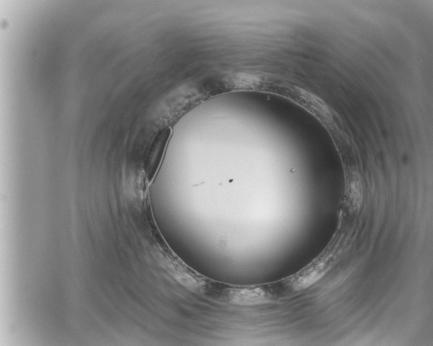 X0000060240525200510311525