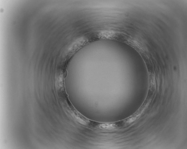 X0000060240526200510311525