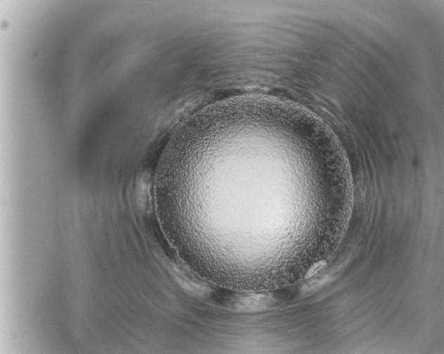 X0000060240527200510311525