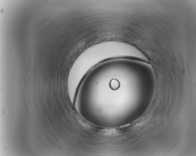 X0000060240528200510311525