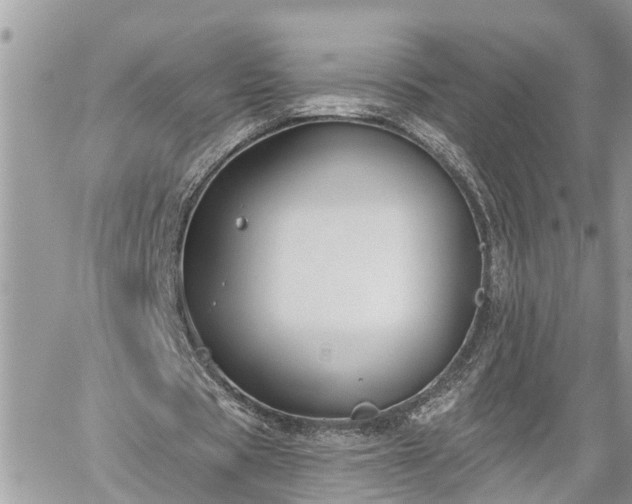 X0000060240529200510311524