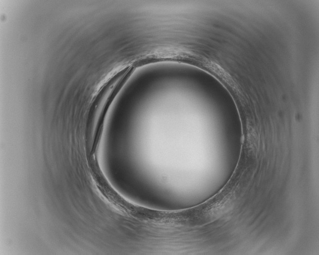 X0000060240530200510311524