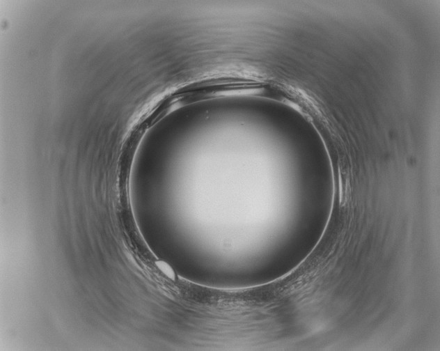 X0000060240531200510311524