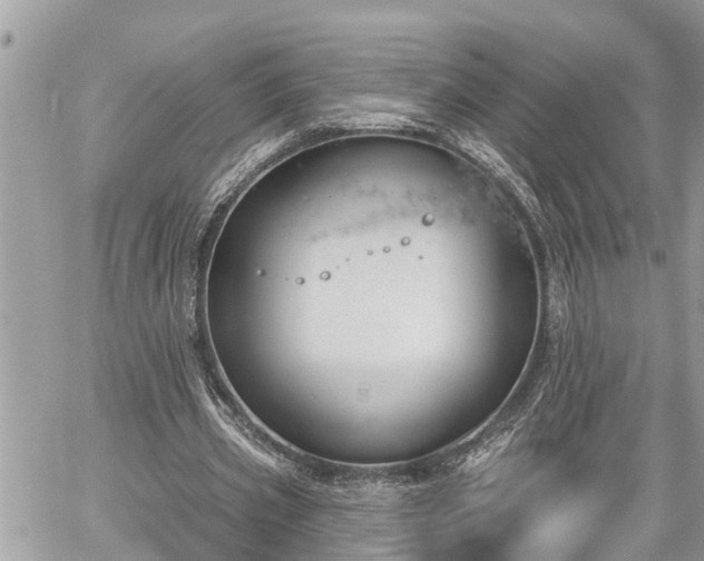 X0000060240533200510311524