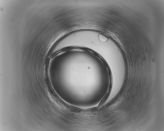 X0000060240534200510311524