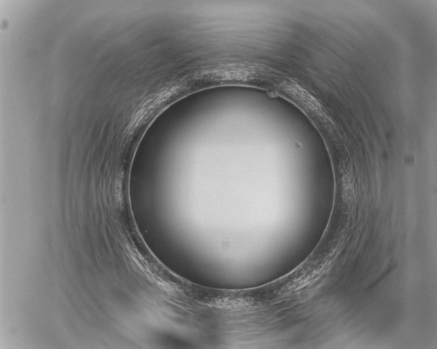 X0000060240537200510311524