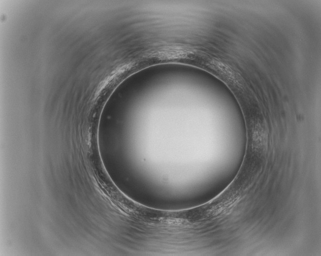 X0000060240539200510311524