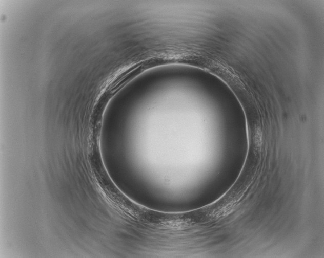 X0000060240540200510311524