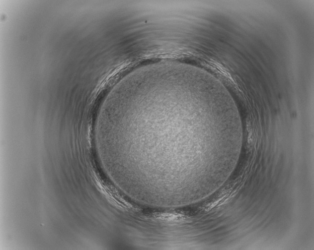 X0000060240542200510311525