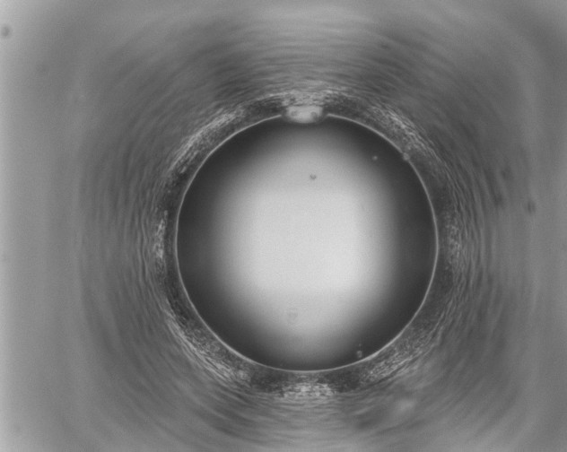 X0000060240543200510311525