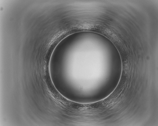 X0000060240544200510311525