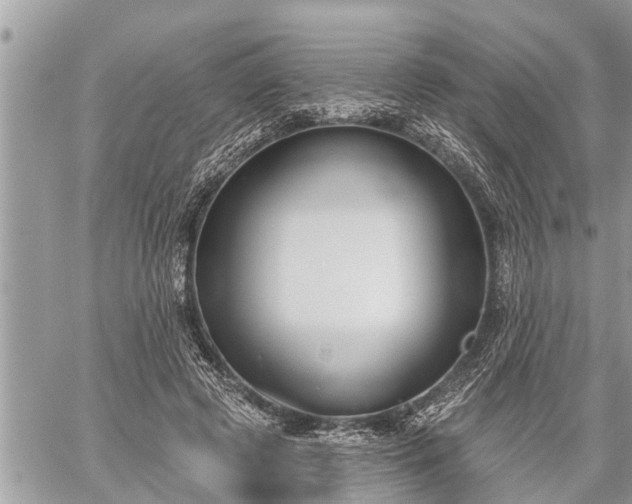 X0000060240545200510311525