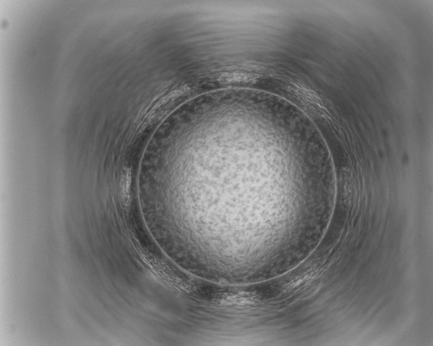 X0000060240550200510311525