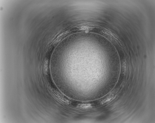 X0000060240554200510311525