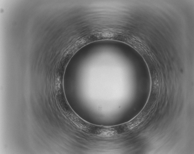 X0000060240555200510311525