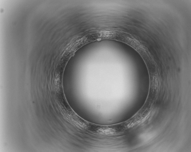 X0000060240557200510311525