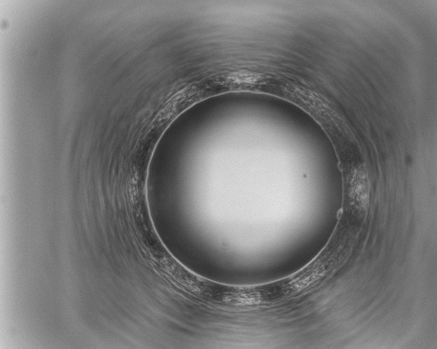 X0000060240559200510311525