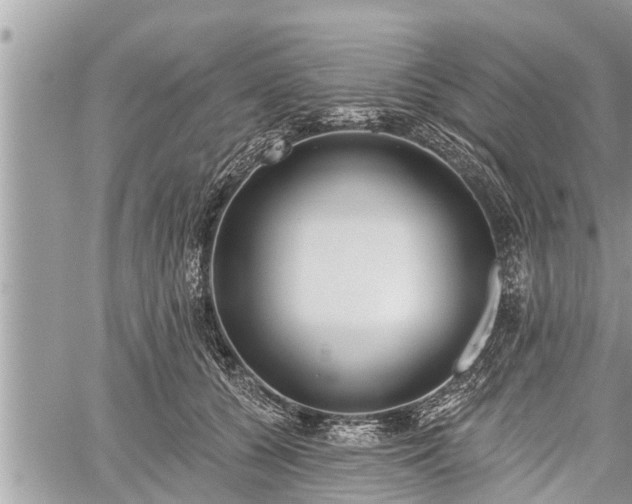 X0000060240560200510311525