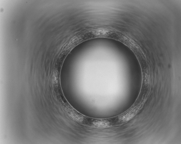 X0000060240561200510311525