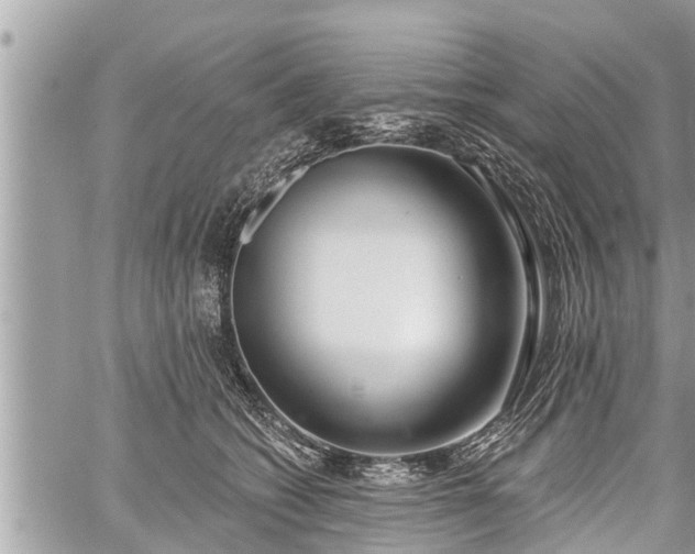 X0000060240562200510311525