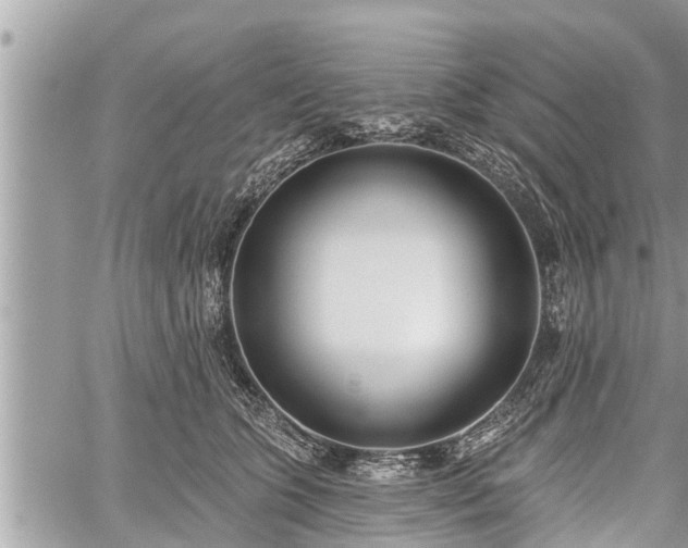 X0000060240563200510311525