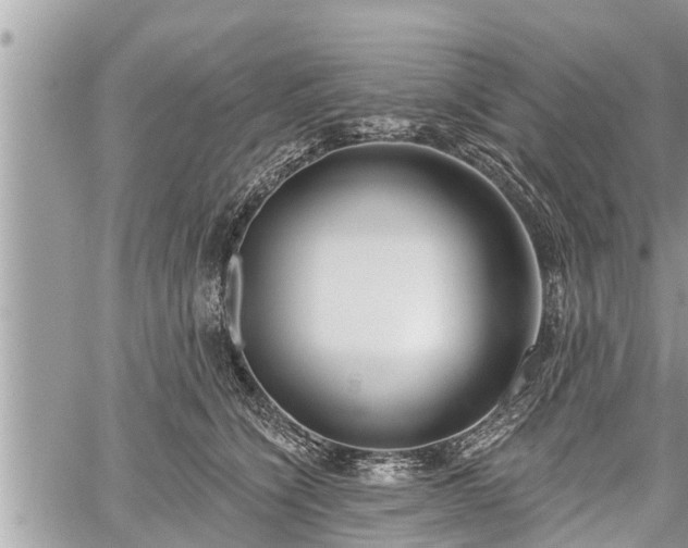 X0000060240564200510311525