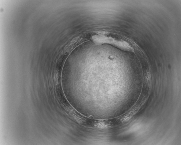 X0000060240565200510311525